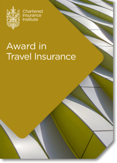 Award in Travel Insurance