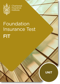 Foundation Insurance Test (FIT)